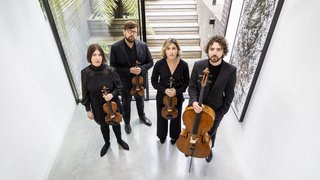 Castalian Quartet (credit: Paul Marc Mitchell)